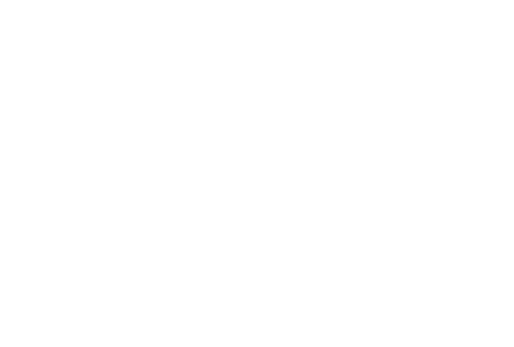 STUDIO NUGGET